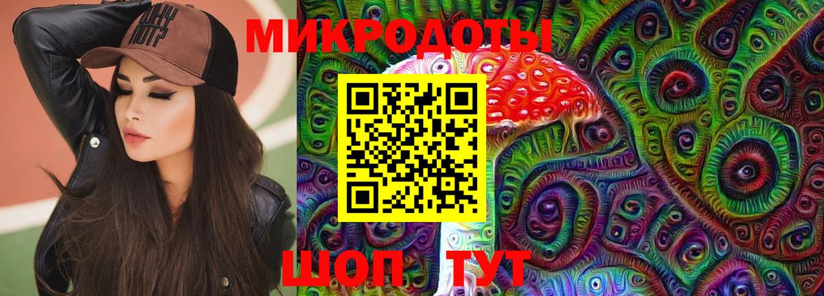 Галлюциногенные грибы Psilocybine cubensis Кузнецк