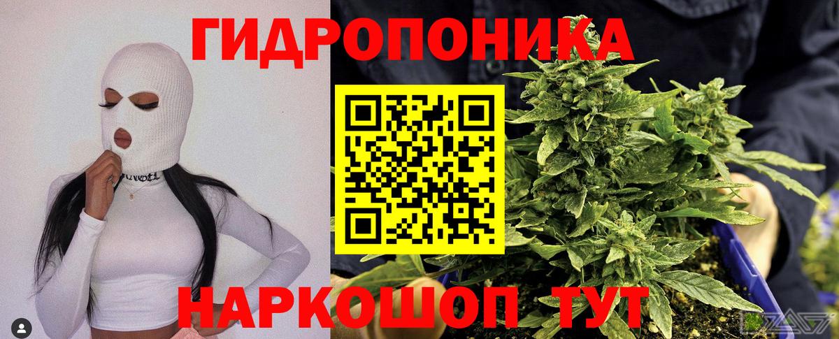 Каннабис семена  Бошки Шишки SATIVA & INDICA  Бошки марихуана марихуана  Кузнецк  Вход с VPN  Марихуана LSD WEED 